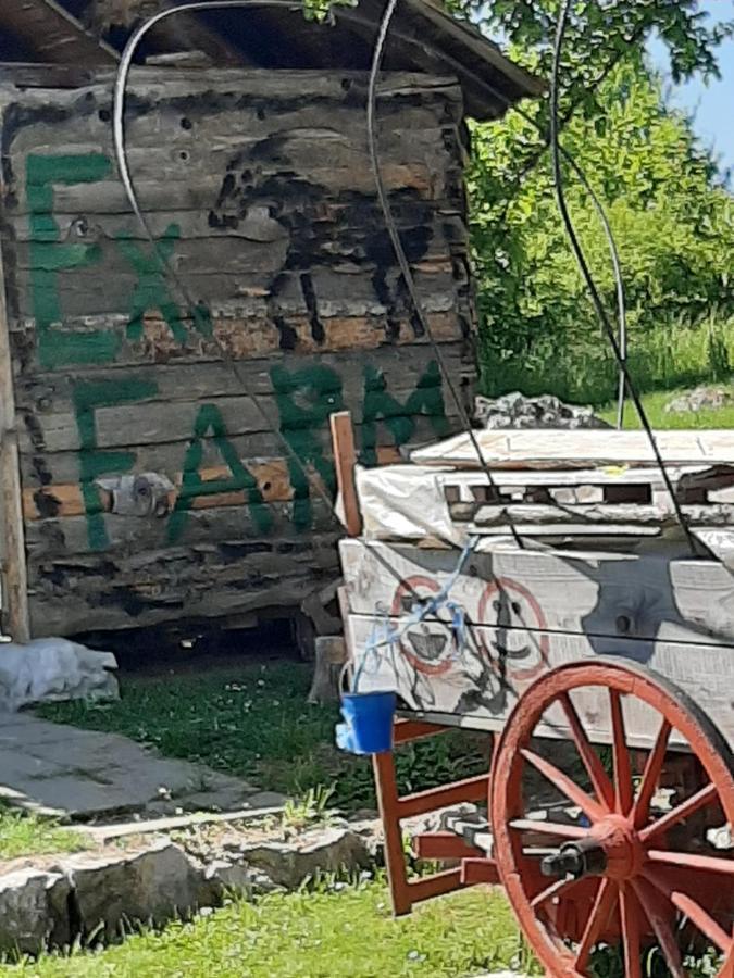 Ranch Farm Farm stay