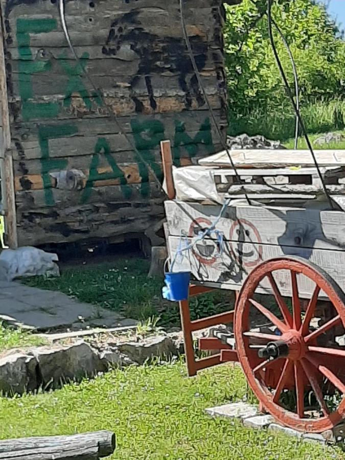 Ranch Farm Farm stay